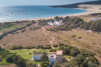 Beach-image (1)