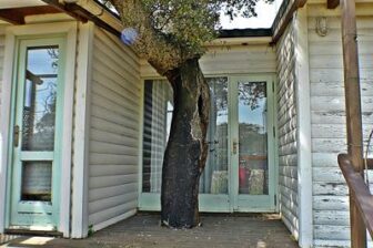 Tarifabeachhouses-Casita-Los-Tornos-Tarifa-04