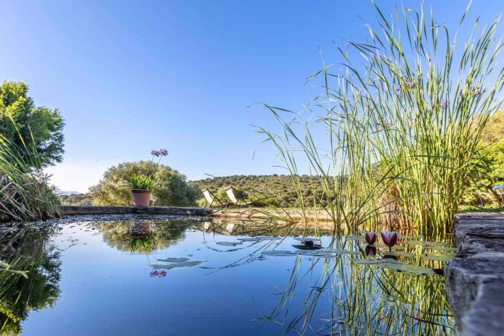 Tarifabeachhouses-Casita-Molino-03