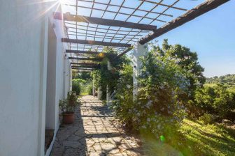 Tarifabeachhouses-Casita-Molino-09