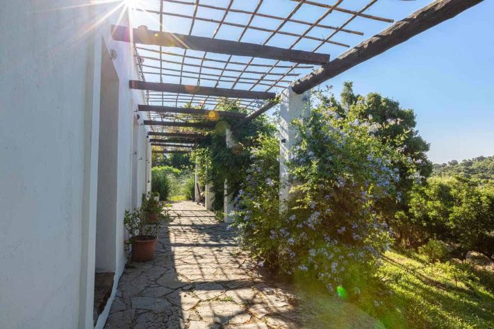Tarifabeachhouses-Casita-Molino-09