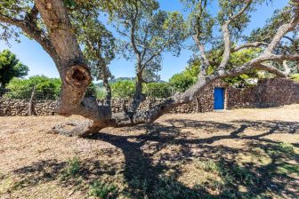 Tarifabeachhouses-Casita-Molino-43