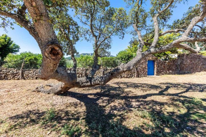Tarifabeachhouses-Casita-Molino-43