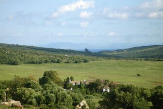 Tarifabeachhouses-Honeymoon-Suite-In-Andalusian-Farmhouse-Tarifa-02