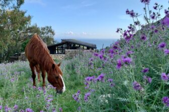 Tarifabeachhouses-Little-Stone-House-La-Pena-Tarifa-02