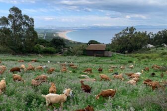 Tarifabeachhouses-Little-Stone-House-La-Pena-Tarifa-26