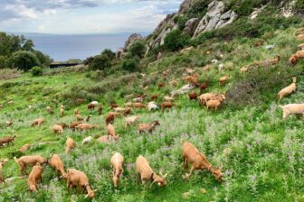 Tarifabeachhouses-Little-Stone-House-La-Pena-Tarifa-27