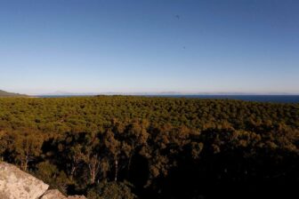 Tarifabeachhouses-Secret-Garden-Casita-Bolonia-Tarifa-20