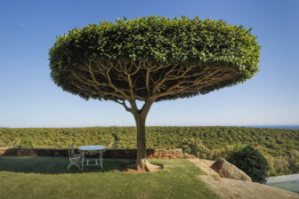 Tarifabeachhouses-Secret-Garden-House-Bolonia-Tarifa-22