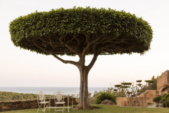 Tarifabeachhouses-Secret-Garden-House-Bolonia-Tarifa-28
