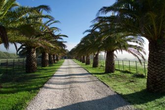 Tarifabeachhouses-property--Andalusian-Farmhouse-Tarifa-09