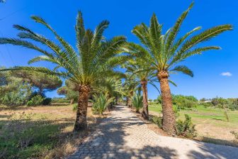 Tarifabeachhouses-property-Casa-Punta-Paloma-Punta-Paloma-Tarifa-01