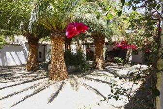 Tarifabeachhouses-property--Courtyard-Cottage-I-Andalusian-Farmhouse-Tarifa-08