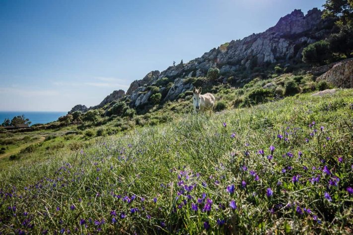 Tarifabeachhouses-property--Little-Stone-House-La-Pena-Tarifa-23
