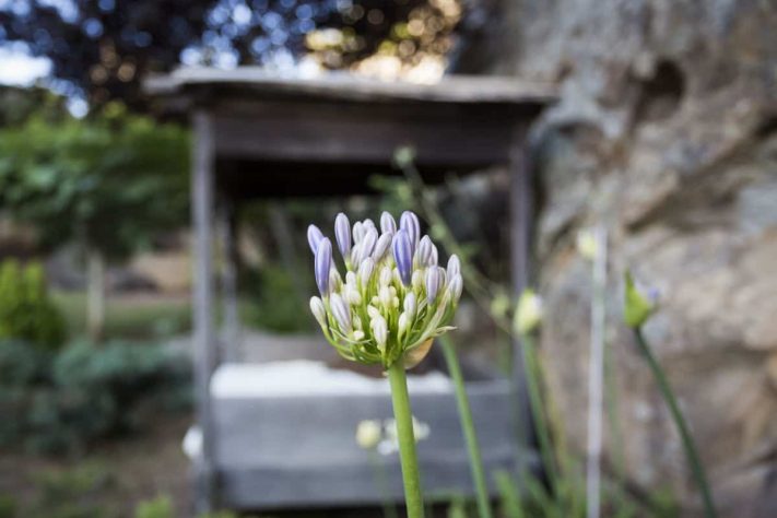 Tarifabeachhouses-property--Secret-Garden-House-Bolonia-Tarifa-26