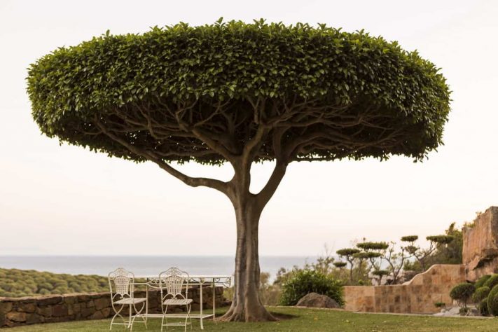 Tarifabeachhouses-property--Secret-Garden-House-Bolonia-Tarifa-28