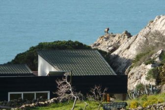 Tarifabeachhouses-property--Wallpaper-House-La-Peña-Tarifa-07