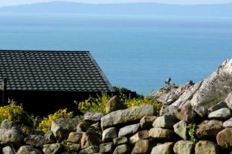 Tarifabeachhouses-property--Wallpaper-House-La-Peña-Tarifa-08
