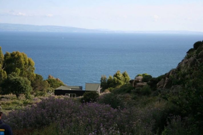 Tarifabeachhouses-property--Wallpaper-House-La-Peña-Tarifa-09