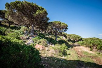 Tarifabeachhouses-property--Wallpaper-House-La-Peña-Tarifa-19